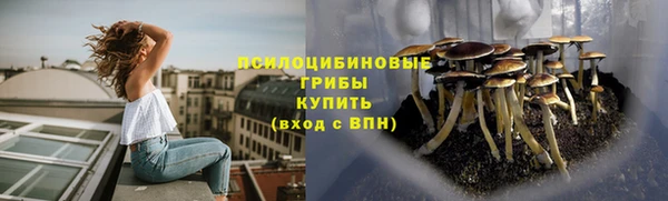 мяу мяу кристалл Богданович