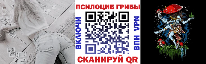 Псилоцибиновые грибы Psilocybine cubensis  Бронницы 